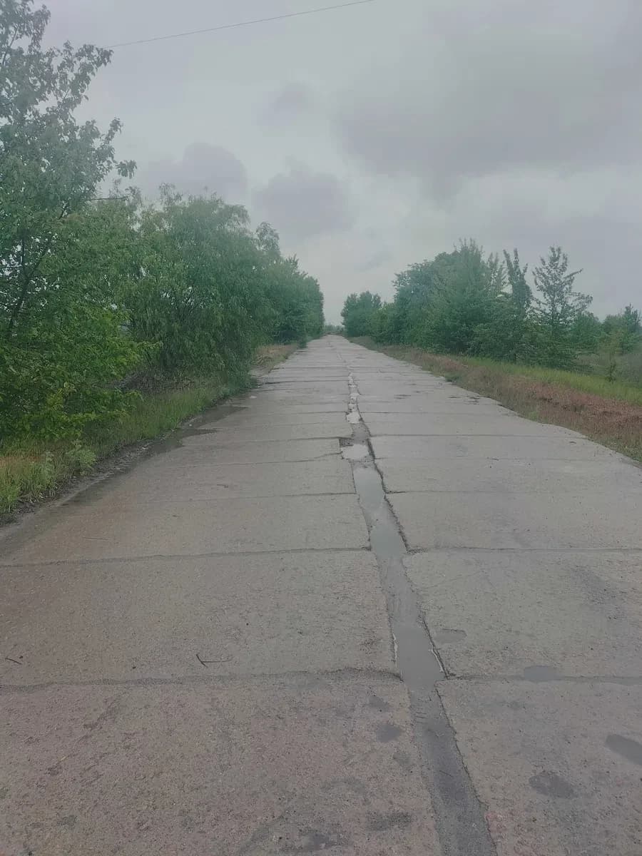 Ділянка 8 соток, Пухівка: річка Десна, світло за 40 м - фото 3