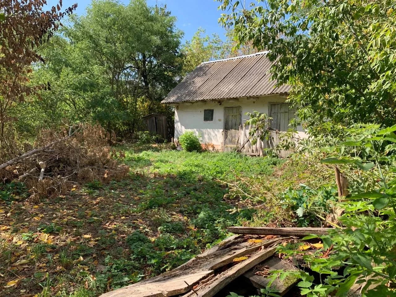 Будинок, Великі Лісівці: сад і город 40 соток, пічне опалення - фото 2