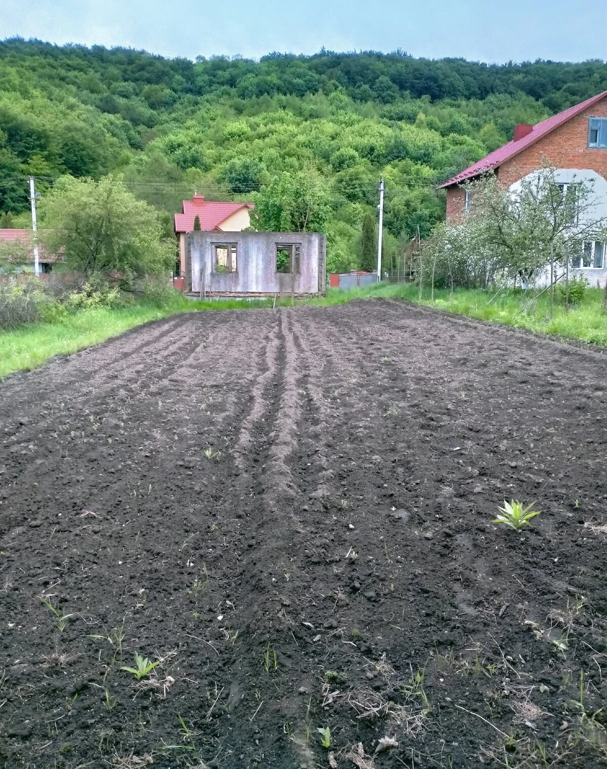 Ділянка 7.18 сотки, Лісники: сільськогосподарського призначення - фото 4