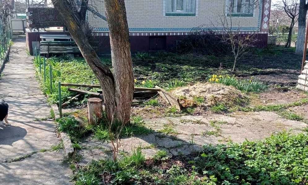 Будинок, Красилів: гараж і хлів, 8 соток - фото 4