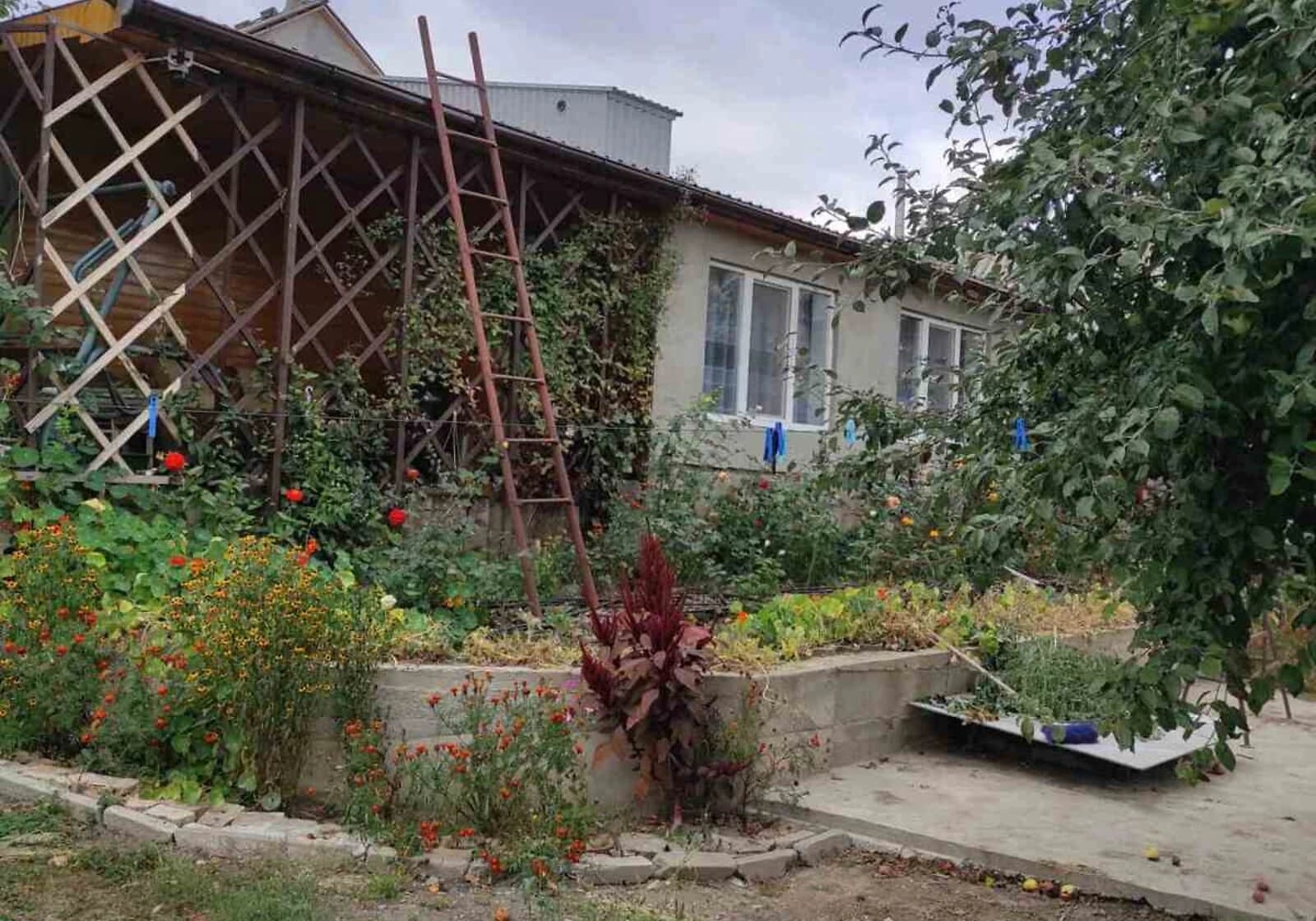 Будинок, Велика Березянка: веранда, 45 соток, гараж