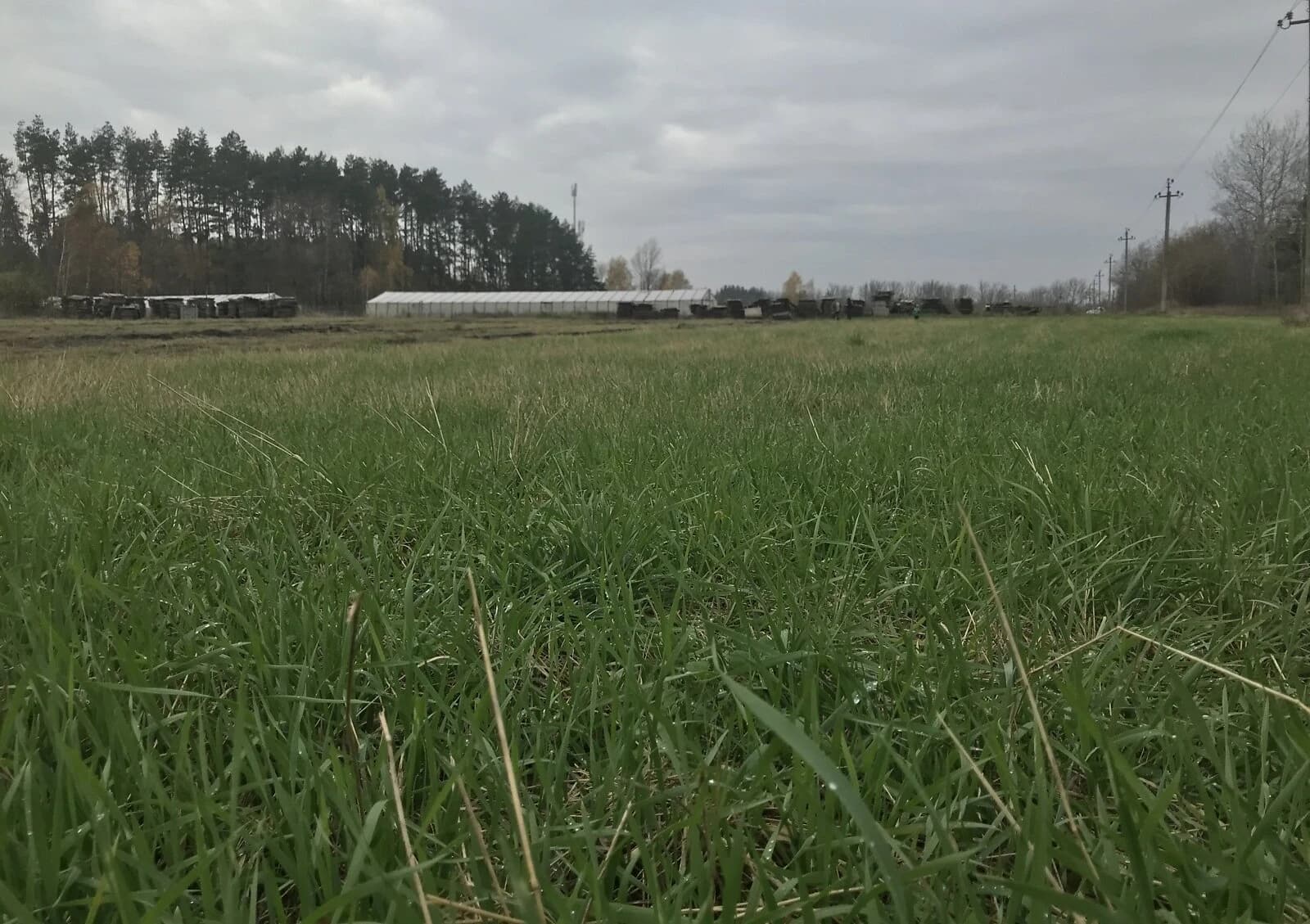 Ділянка 10 соток, Крошня: під житлову забудову, електрика - фото 1