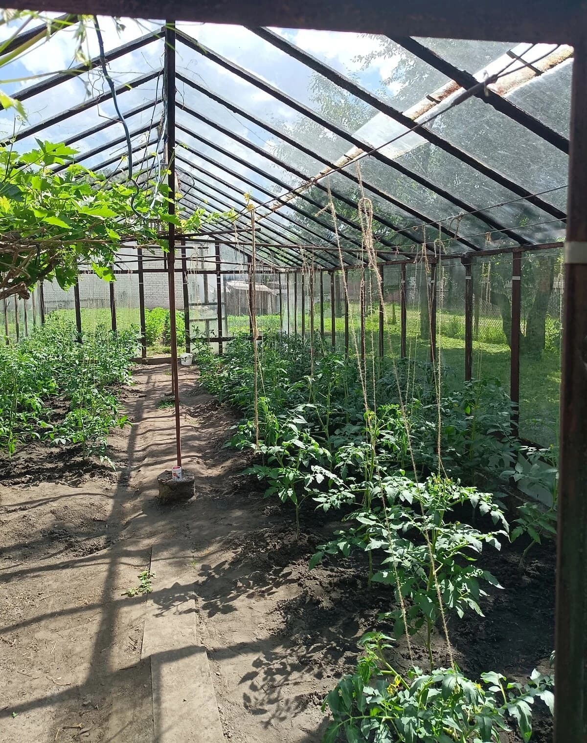 Будинок, Солонка: гараж із підвалом, сад, 12.4 сотки - фото 3