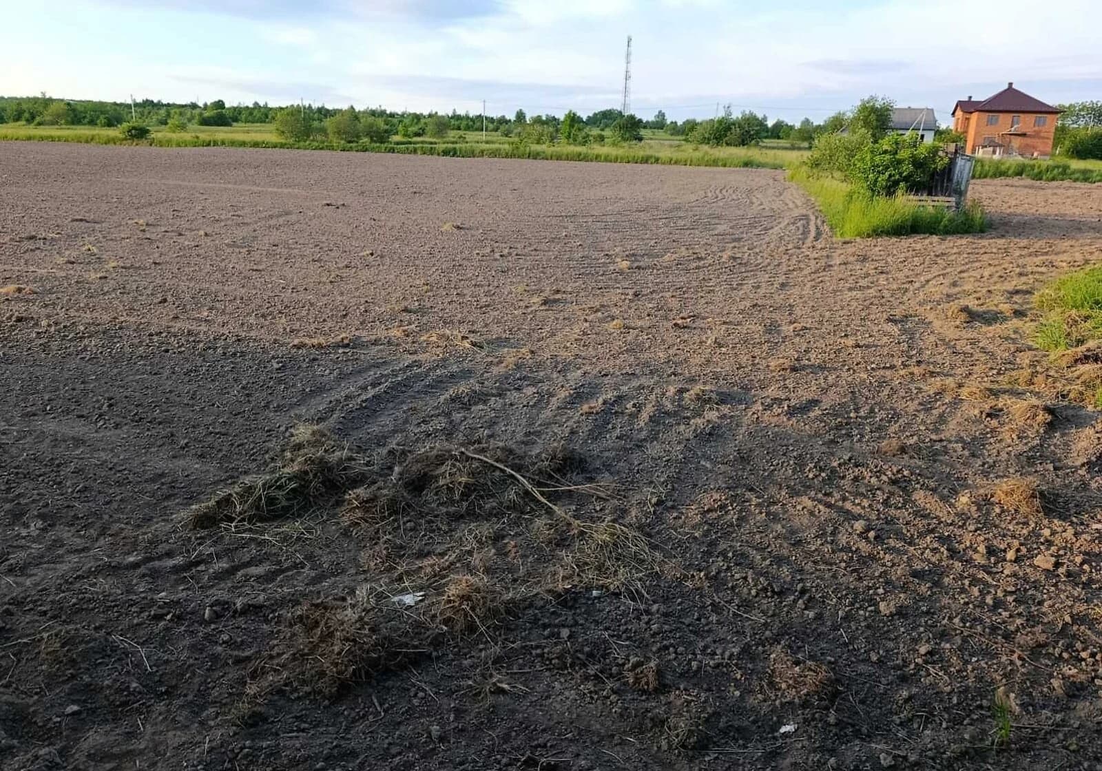 Ділянка 18.21 сотки, Глибока: під житлову забудову, електрика і газ - фото 3
