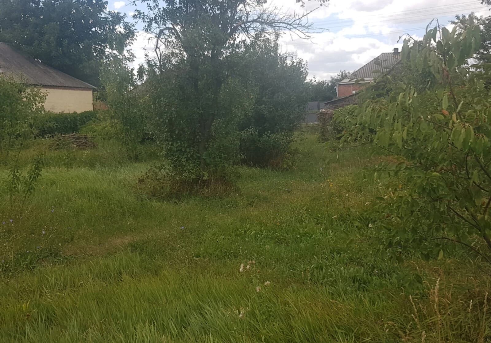 Ділянка 19.3 сотки, Печеніги: під житлову забудову, город і сад - фото 3
