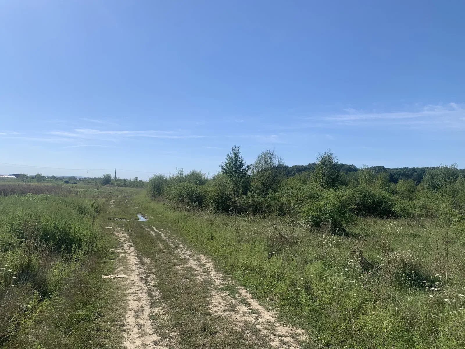 Ділянка 0.08 соток, Виноградів: житлова й суспільна забудова - фото 3