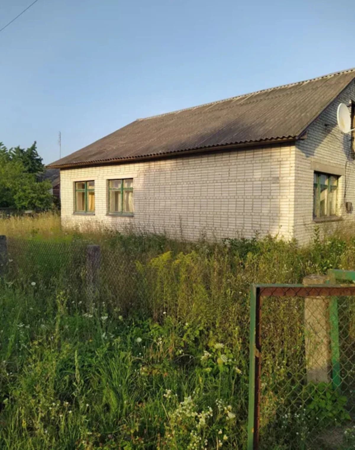Будинок, Морозівка (Брусилів): 60 соток, цегляні стіни