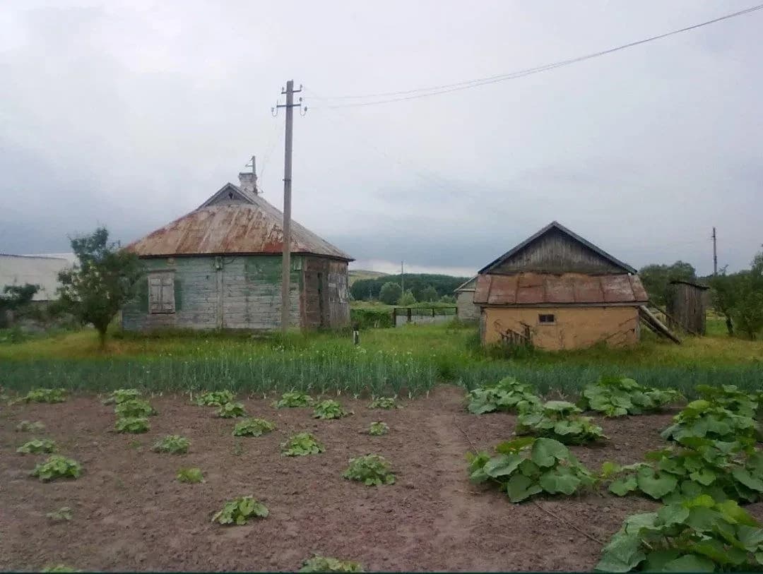 Ділянка 24 соток, Черкаський Бишкин: старий будинок - фото 3