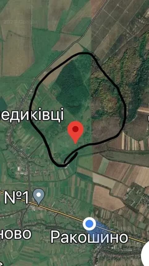 Ділянка 1 000 соток, Бенедиківці: винний підвал, пагорби й річка