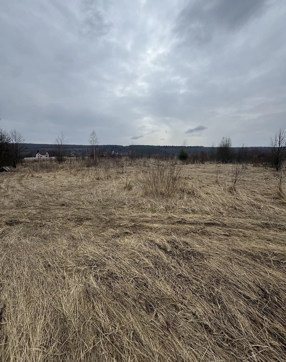 Ділянка 14 соток, Рибне (Тисмениця): під житлову забудову, гараж - фото 1