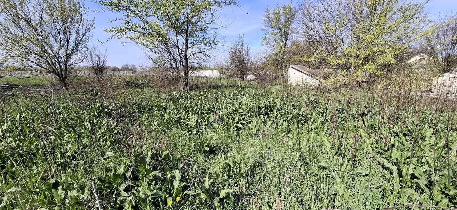Ділянка 48 соток, Лобойківка: 100 м до дороги, огороджена - фото 4