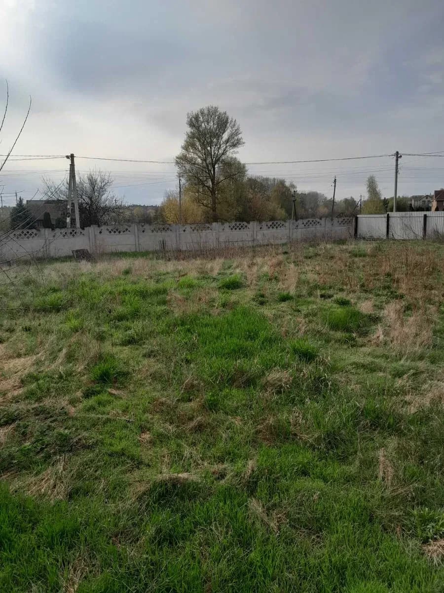 Будинок, Миргород: пляж р. Хорол 500 м, єОселя, літня кухня - фото 4