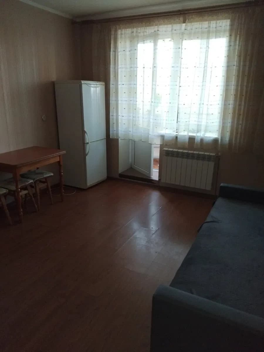 1-кімнатна квартира, Дарницький: два балкони, котик і песик - фото 4