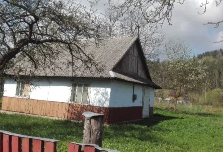 Ділянка 25 соток, Делятин: старий будинок, стайня, стодола - фото 1