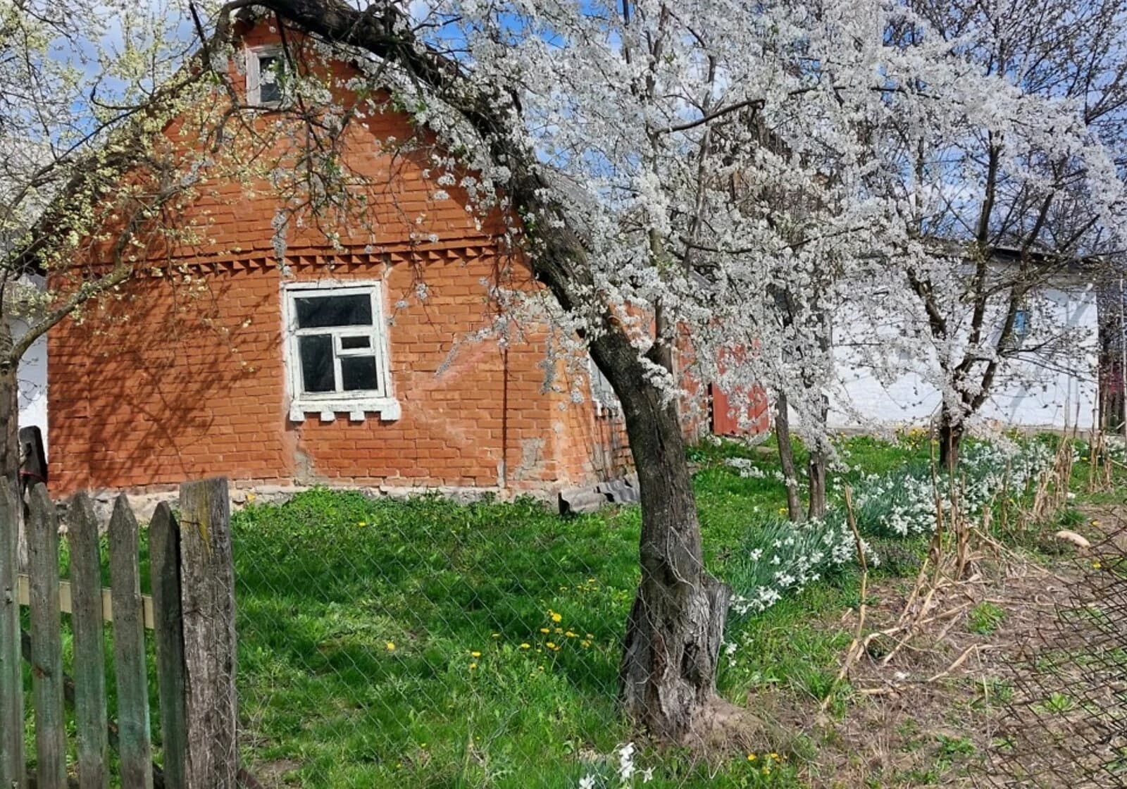 Будинок, Мізяків: 61 сотка, криниця, пічне опалення - фото 5