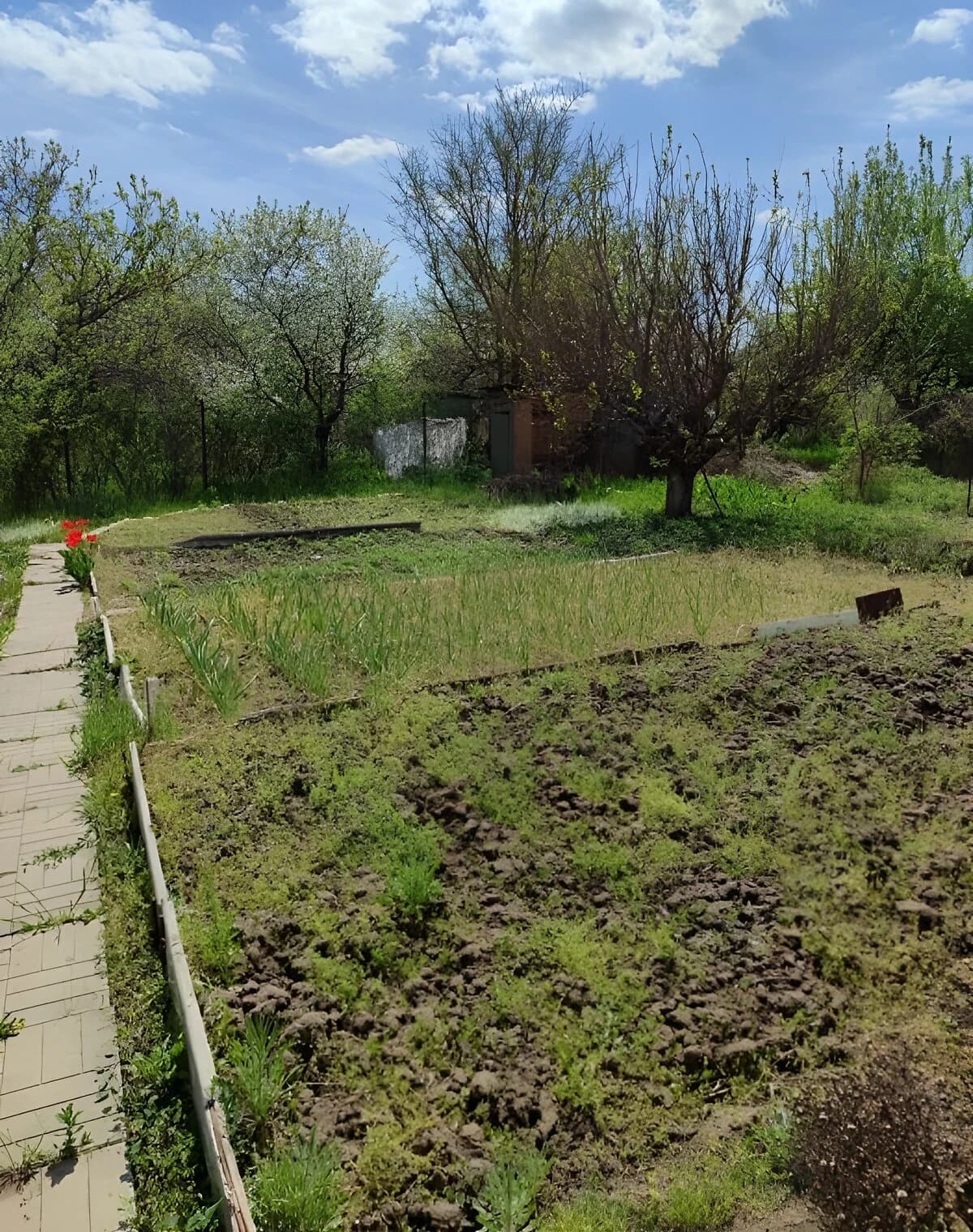Будинок, Червонодніпровка: дача, гараж із підвалом, сад і город - фото 5