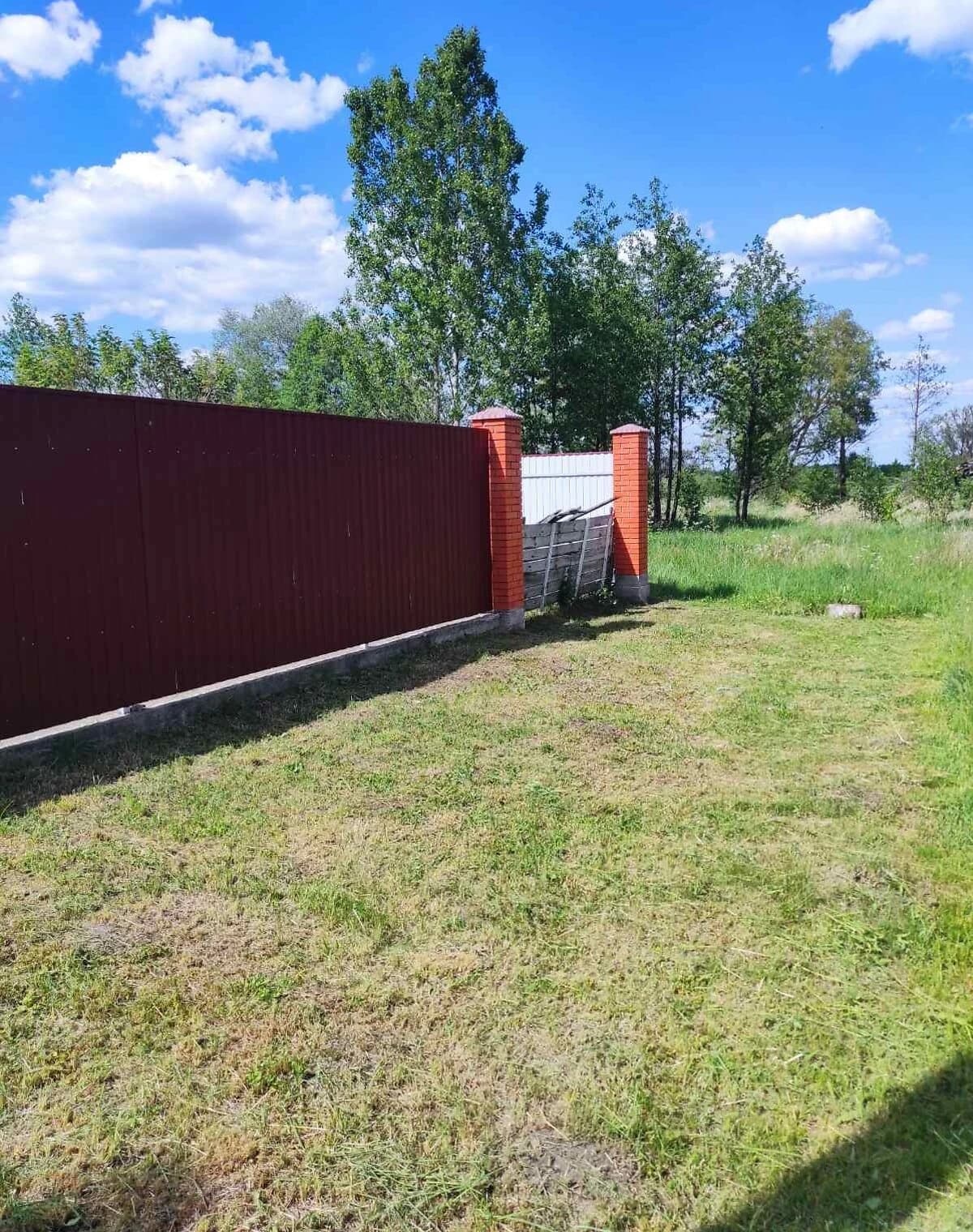 Будинок, Королівка: 60 соток, дерево та цегла - фото 4