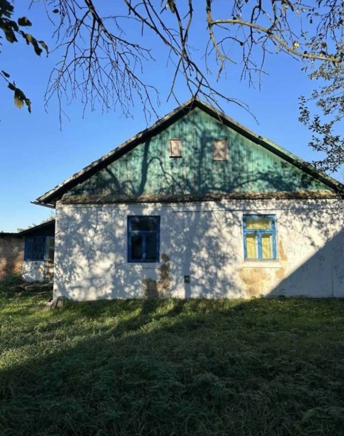 Ділянка 25 соток, Молодаво Третє: під житлову забудову, будинок і сад - фото 4