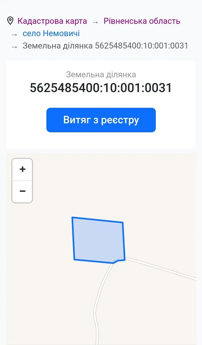 Ділянка 1 760 соток, Немовичі: сільгоспземля, світло поруч - фото 3