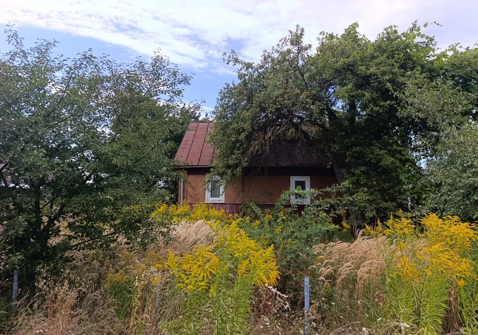 Будинок, Шкарів: гараж із підвалом, 25 соток, літня кухня - фото 4