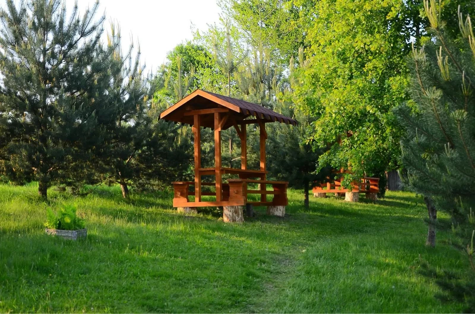 Ділянка 500 соток, біля Трускавця: 500 м від траси, зариблені озера - фото 2