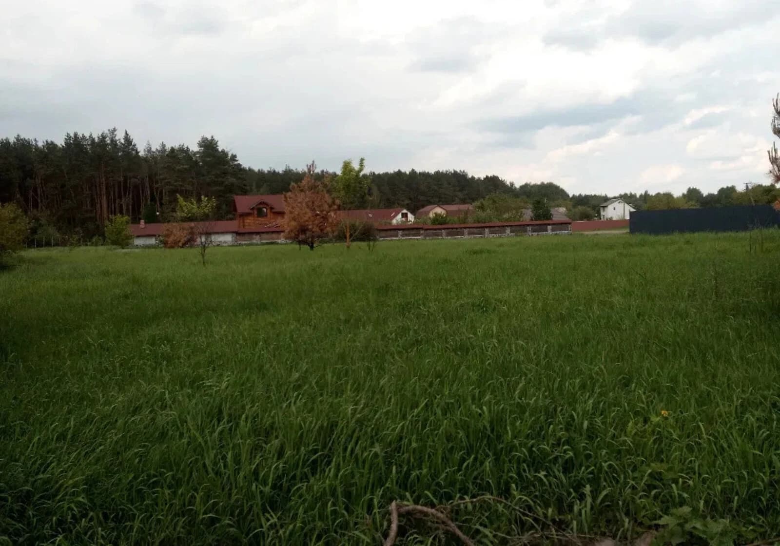 Ділянка 15 соток, Кривецьке: під житлову забудову, під гараж - фото 5