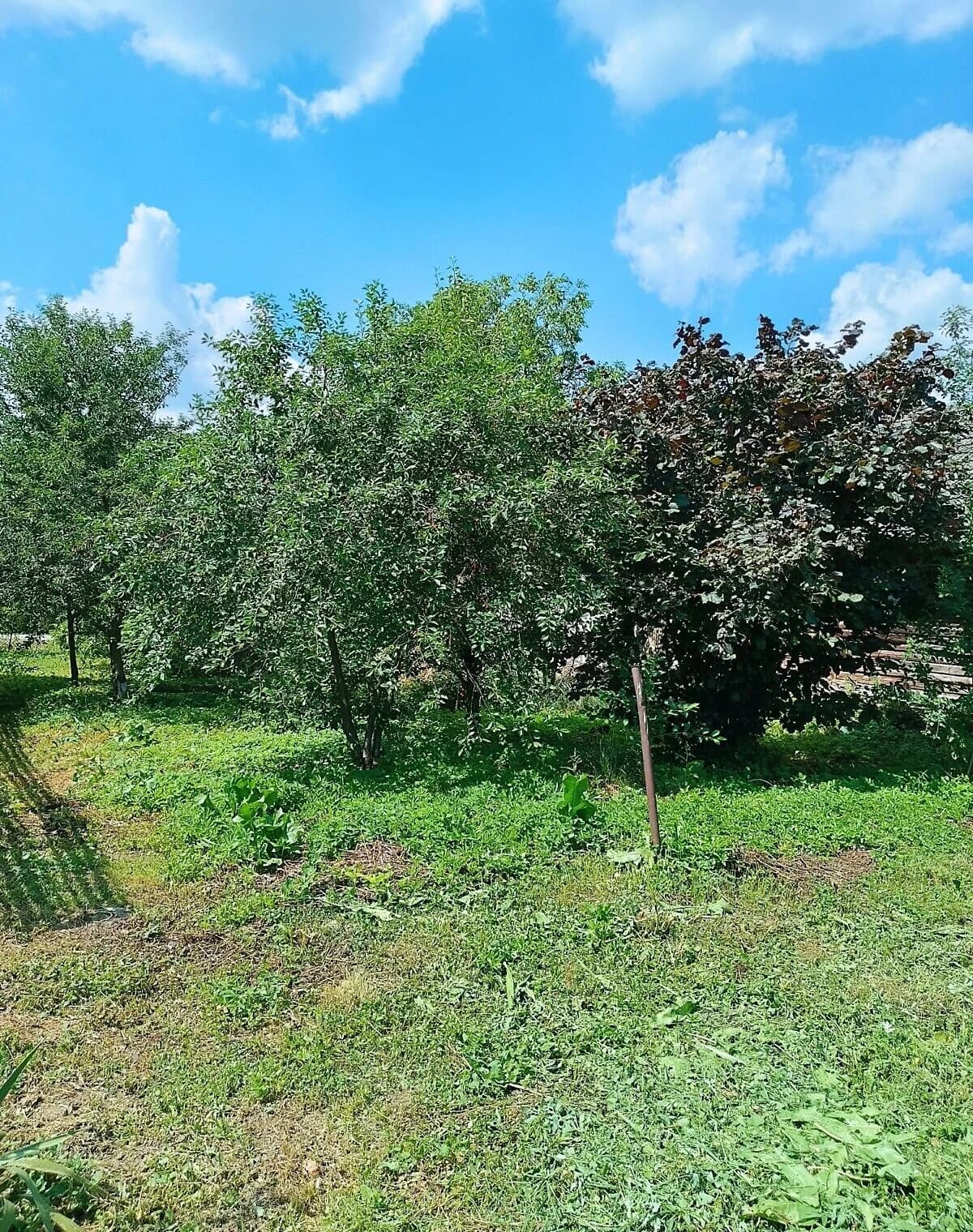 Будинок, Новий Калинів: брусові стіни, централізоване опалення - фото 5