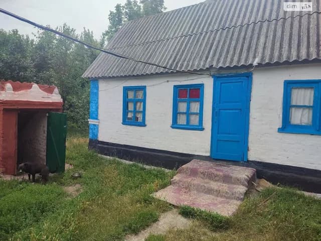 Будинок, Паліївка: 25 соток, цегляні стіни, торг можливий - фото 5