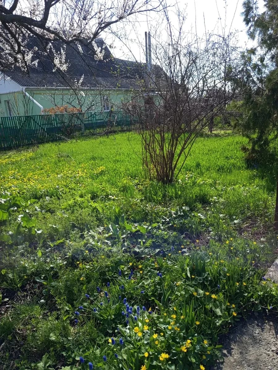 Будинок, Нова Знам'янка: 34 сотки, сад, погріб - фото 5