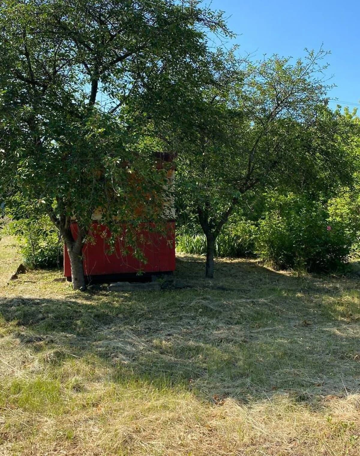 Ділянка 20 соток, Вознесенськ: під житлову забудову, сад і виноградник - фото 4