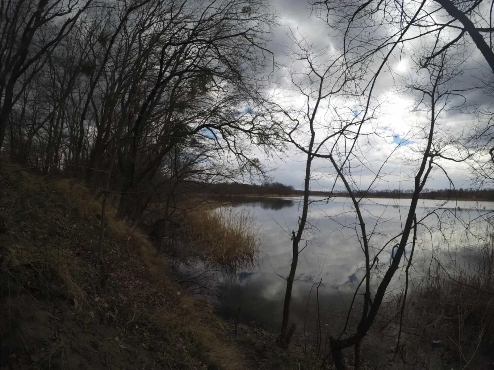 Ділянка 431.25 соток, Хлерівка: річка Рось, оренда берегової смуги - фото 5