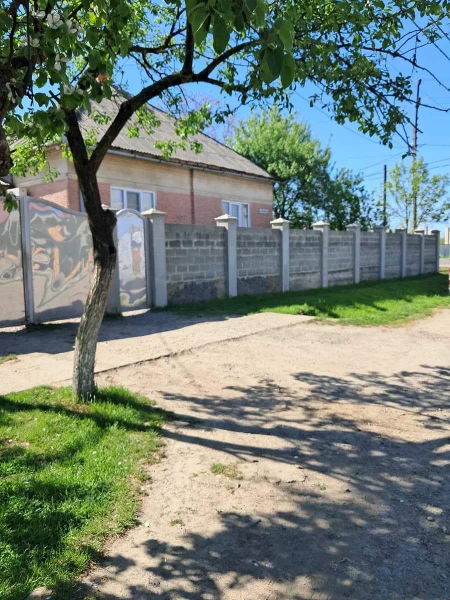 Ділянка 29 соток, Великі Лучки: біля траси Мукачево-Чоп - фото 5