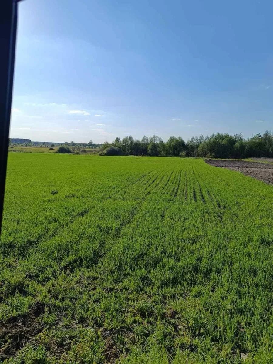 Ділянка 0.21 соток, Ольшаниця: ліс, річка Гороховатка