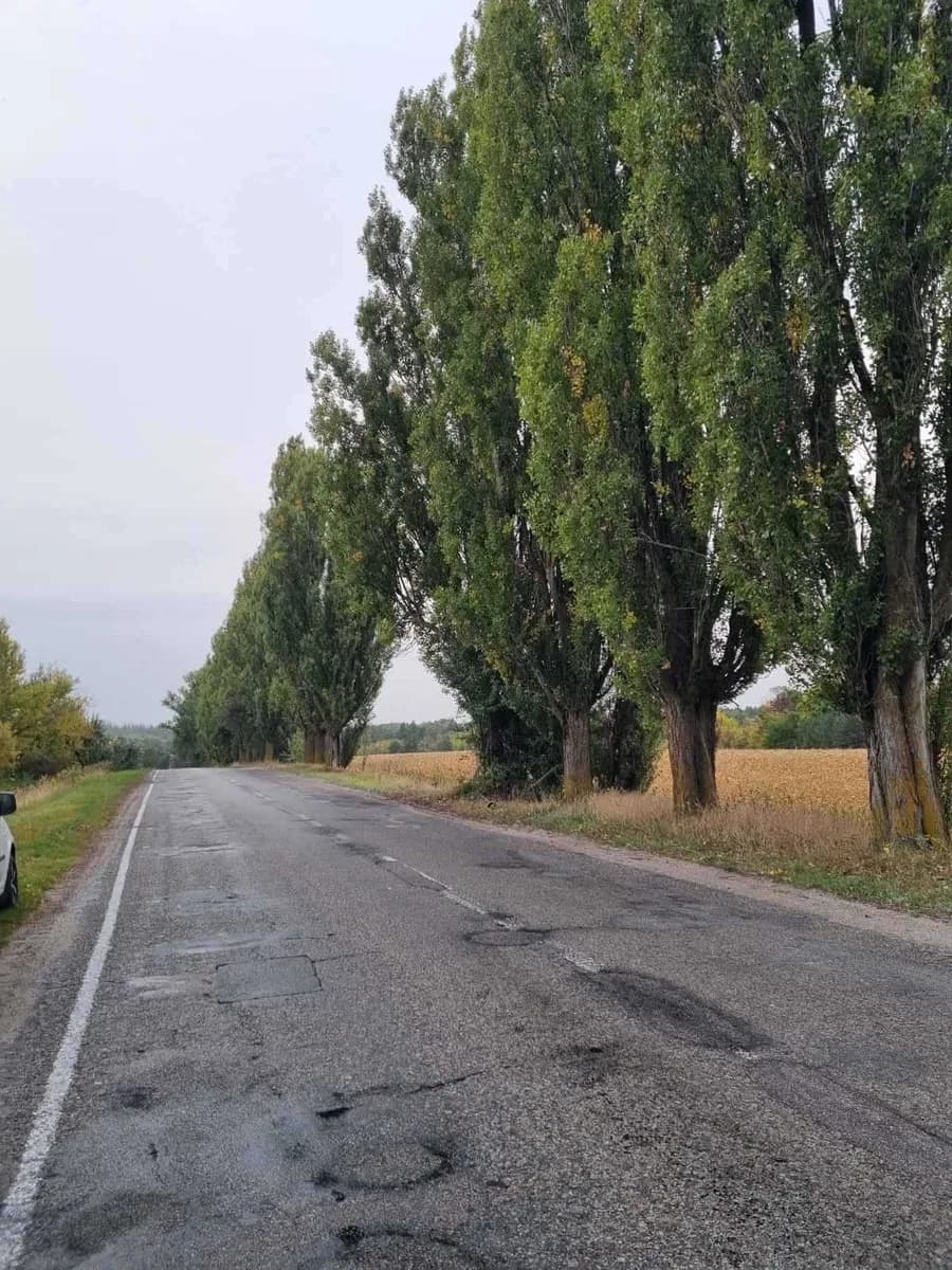 Ділянка 32,33 сотки, Стайки: біля лісу, асфальтована дорога - фото 3