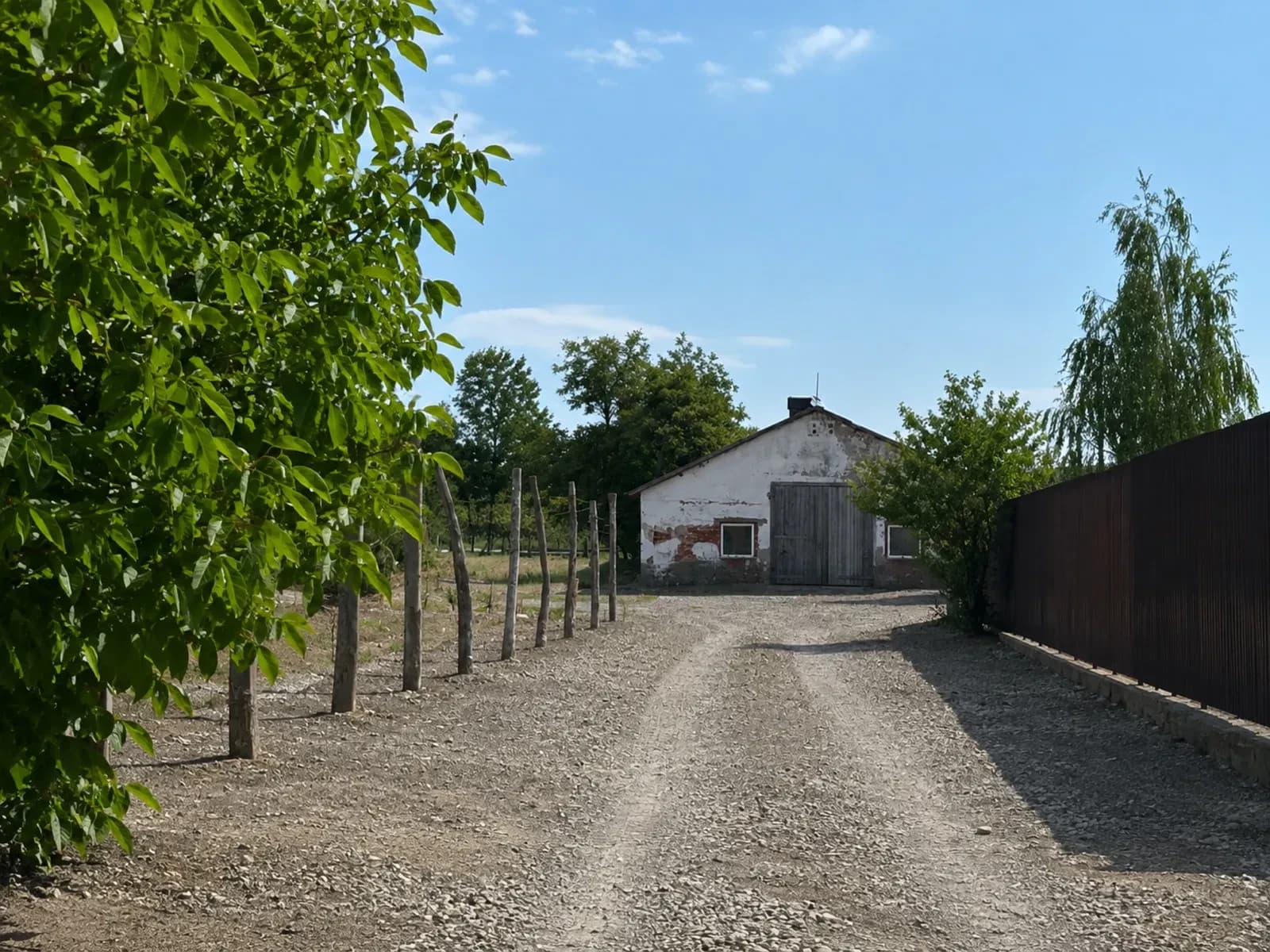 Корівник-склад, Виноградів: два входи, два заїзди, фундамент 200 м² - фото 4