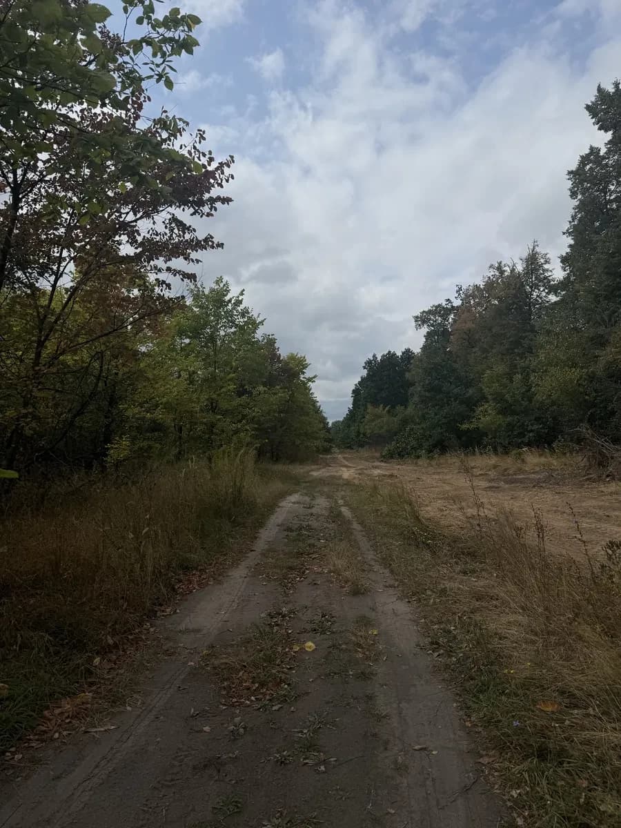 Ділянка 40 соток, Михайлівка-Рубежівка: озеро поруч, біля Києва - фото 3