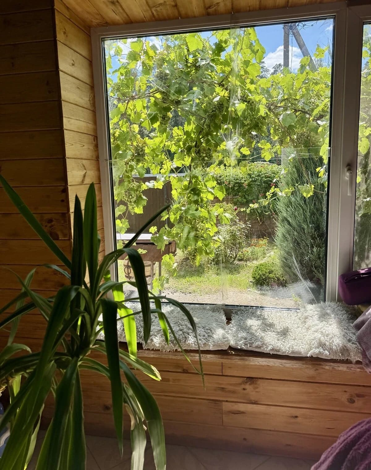 Будинок, Верхоли: тераса, панорамні вікна, 24 сотки - фото 2