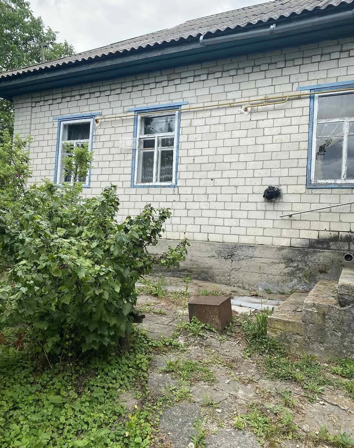 Будинок, Карпилівка (Козелець): 25 соток, цегляні стіни - фото 4