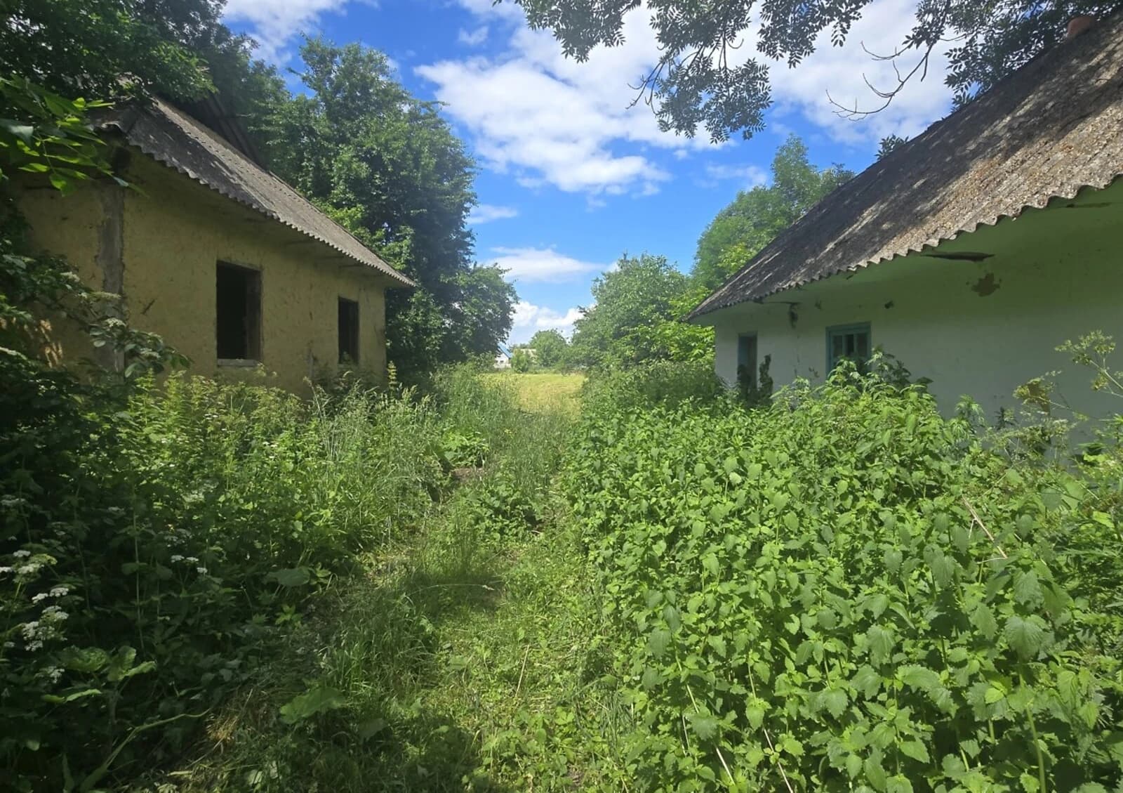 Будинок, Широка Гребля (Хмільник): 25 соток, літня кухня - фото 1