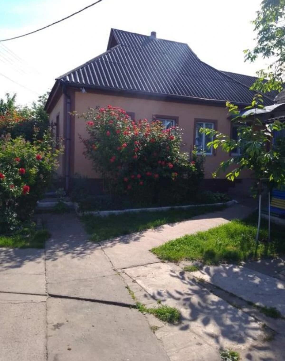 Будинок, Велика Яблунівка: гараж, бесідка, 33 сотки - фото 1