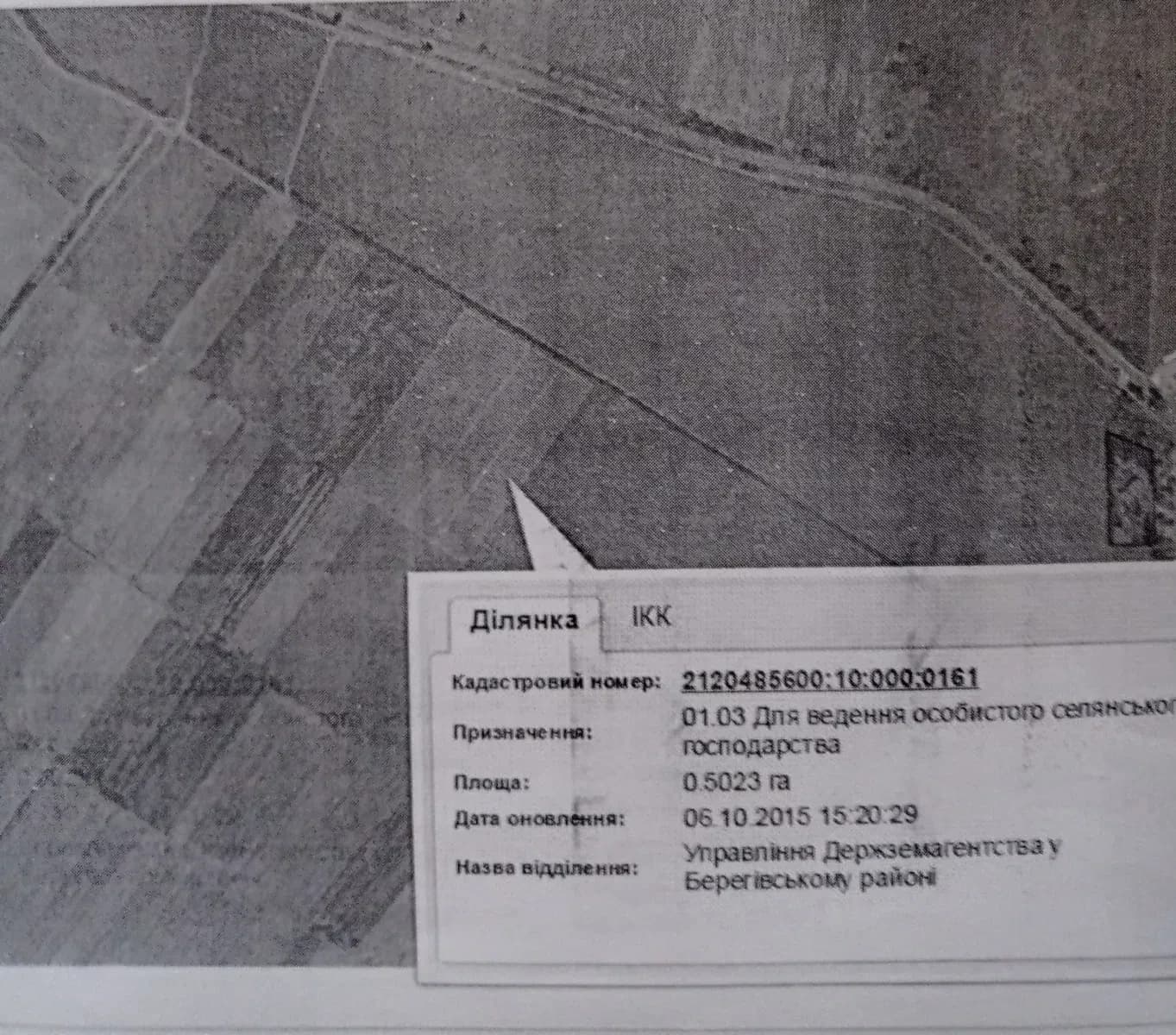 Ділянка 200 соток, Косонь: термальна вода, газ та електрика - фото 3