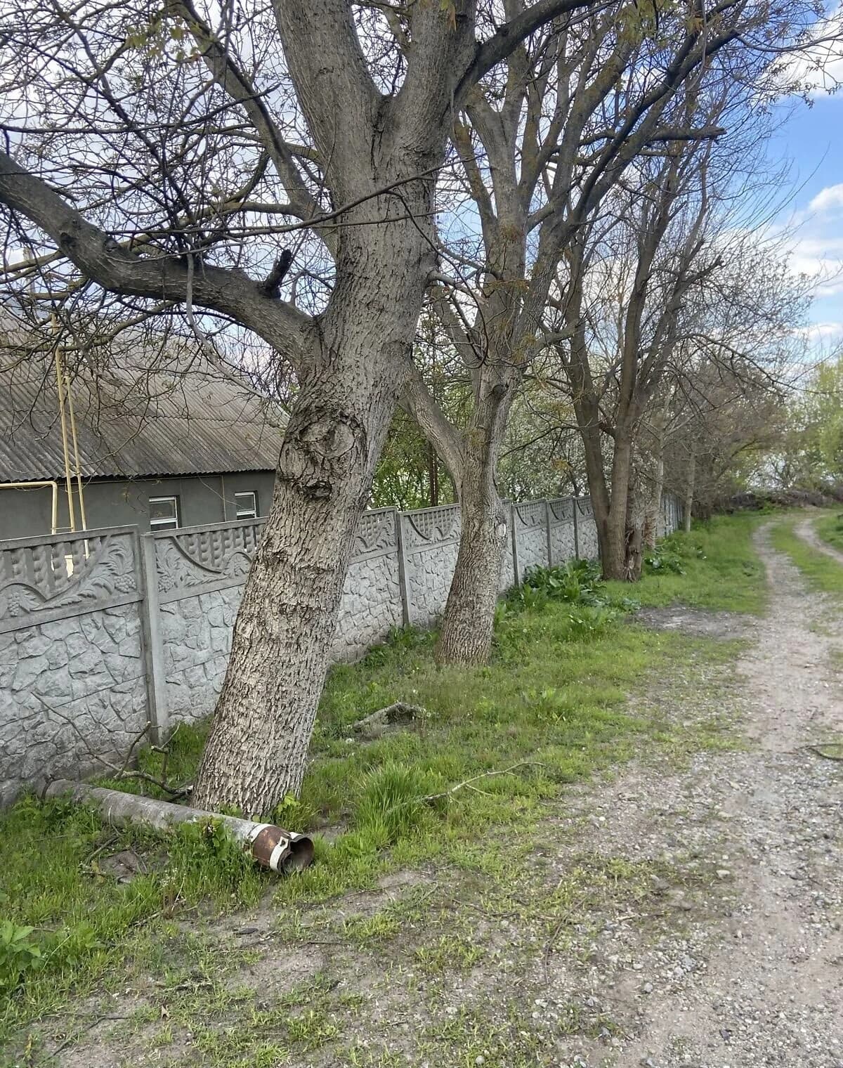 Будинок, Федорівка: 5 кімнат, цегляні стіни - фото 3