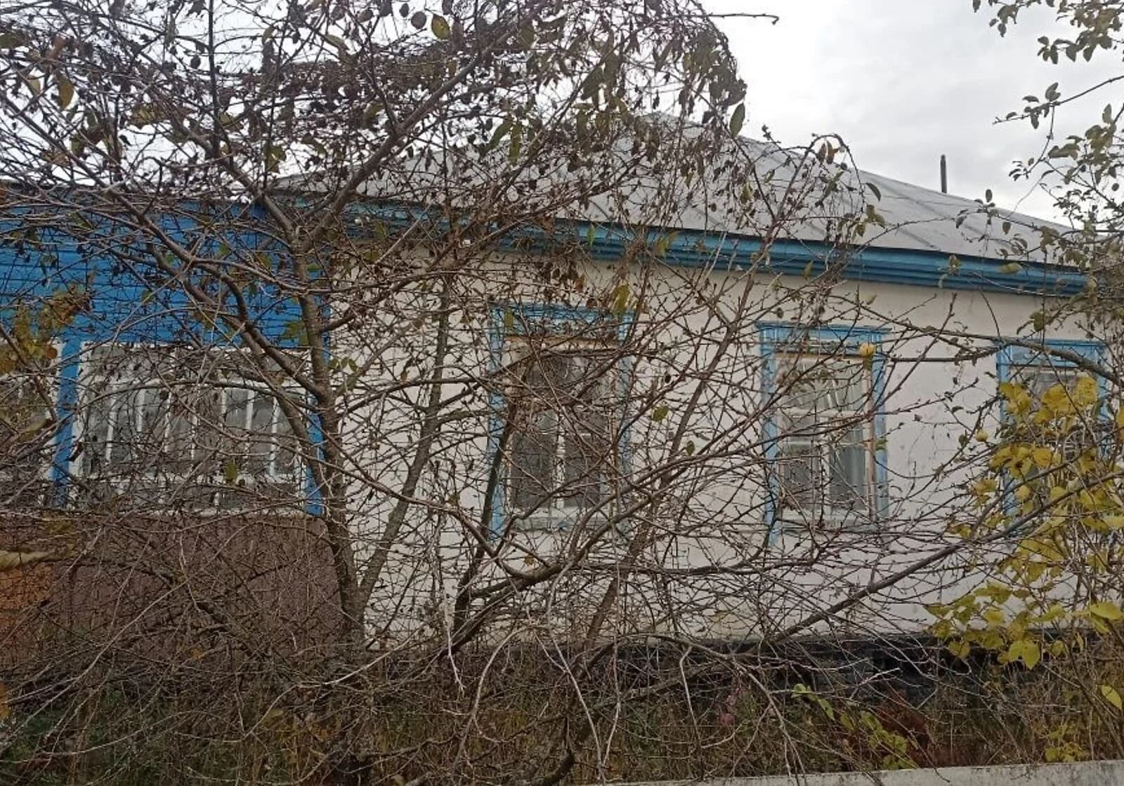 Будинок, Березна: опалення, криниця, цегляні стіни