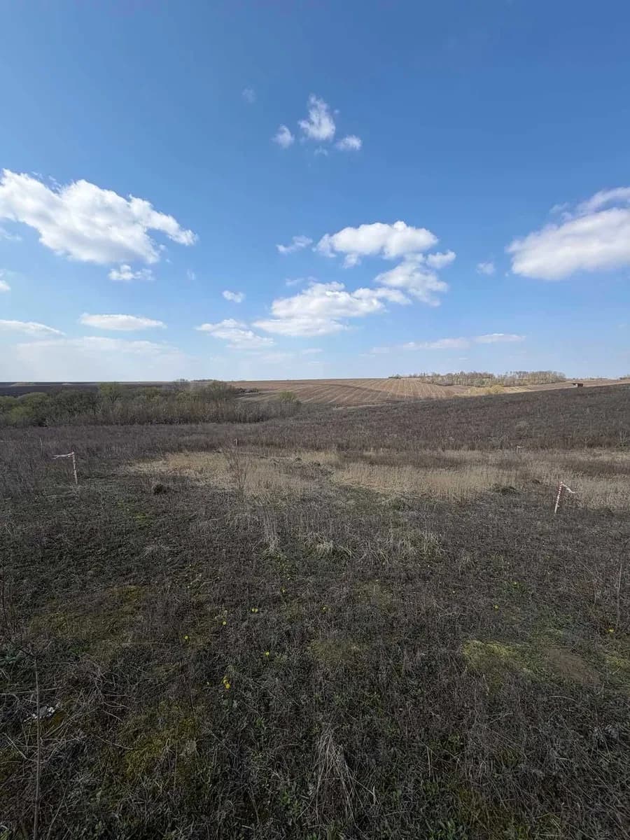 Ділянка 0.60 соток у масиві «Королівський»: світло, обмін - фото 2