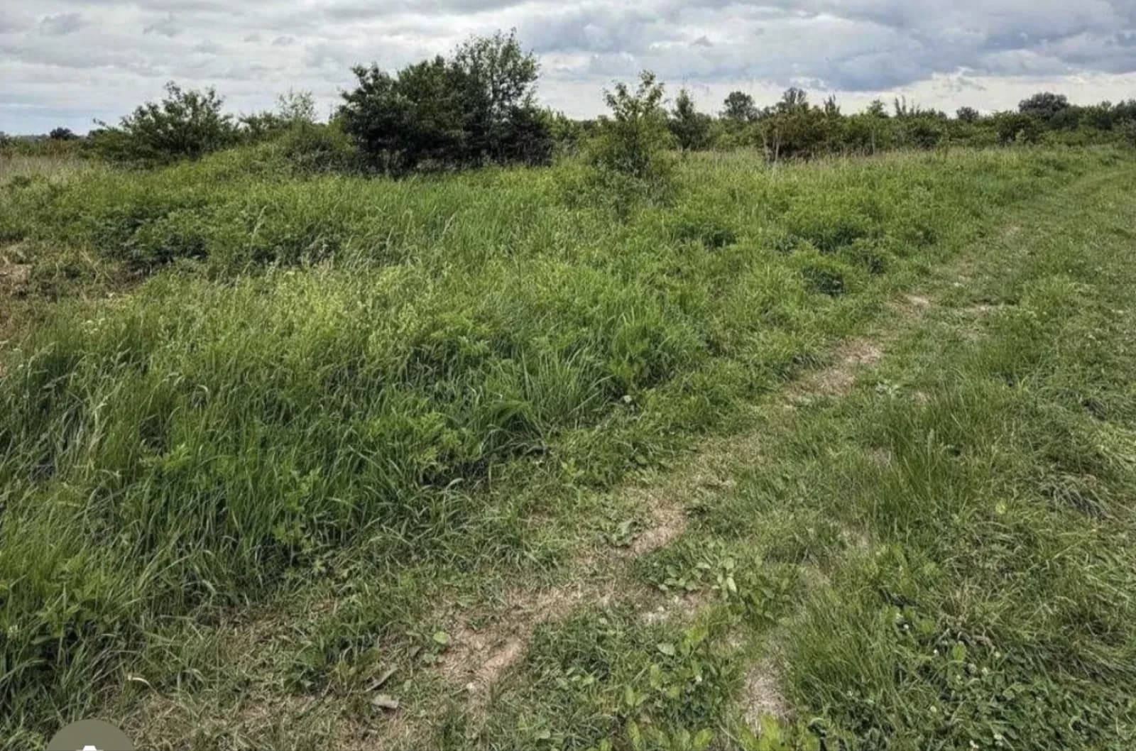 Ділянка 10 соток, Велика Димерка: для індивідуального садівництва - фото 3