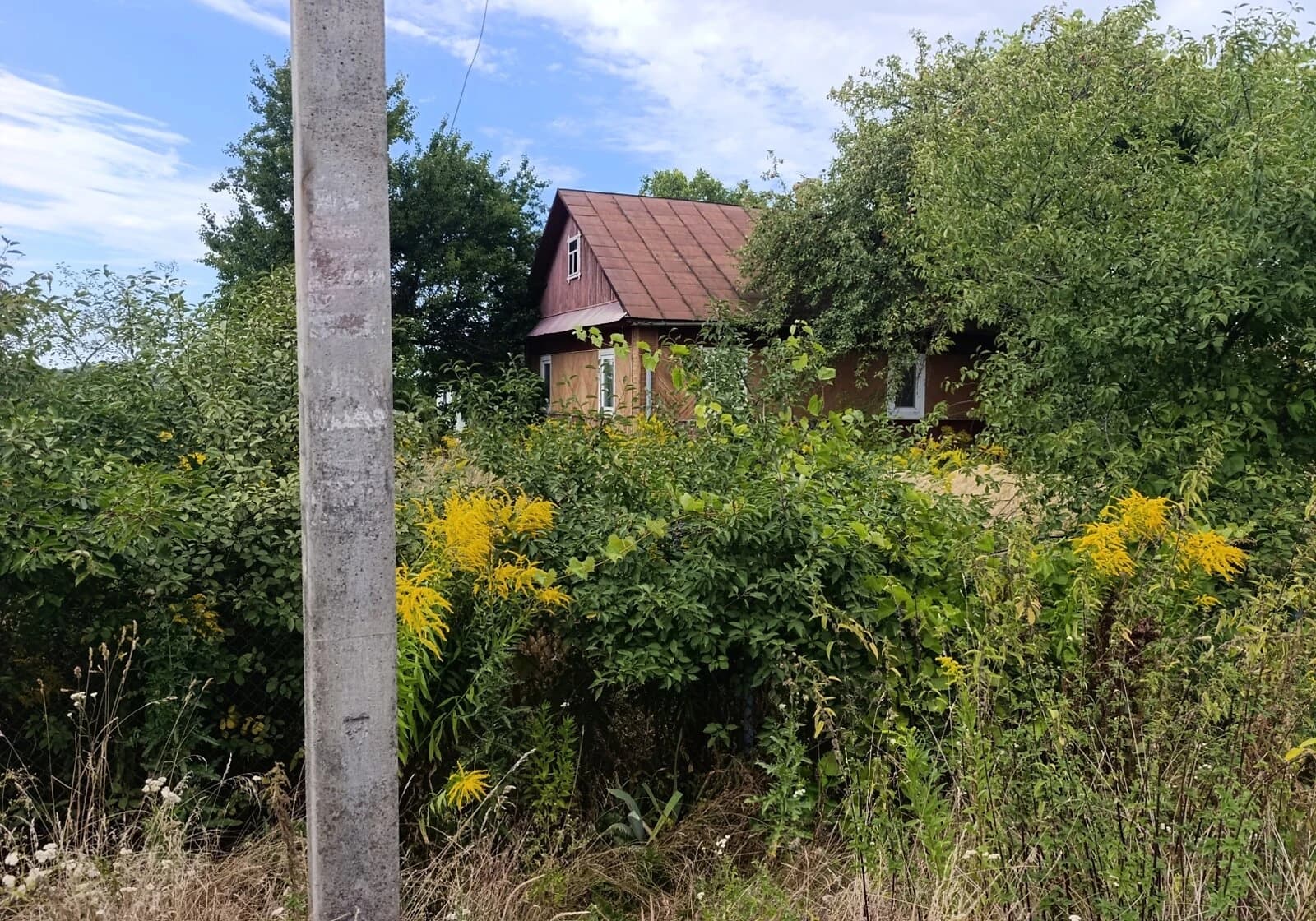 Будинок, Шкарів: гараж із підвалом, 25 соток, літня кухня - фото 5