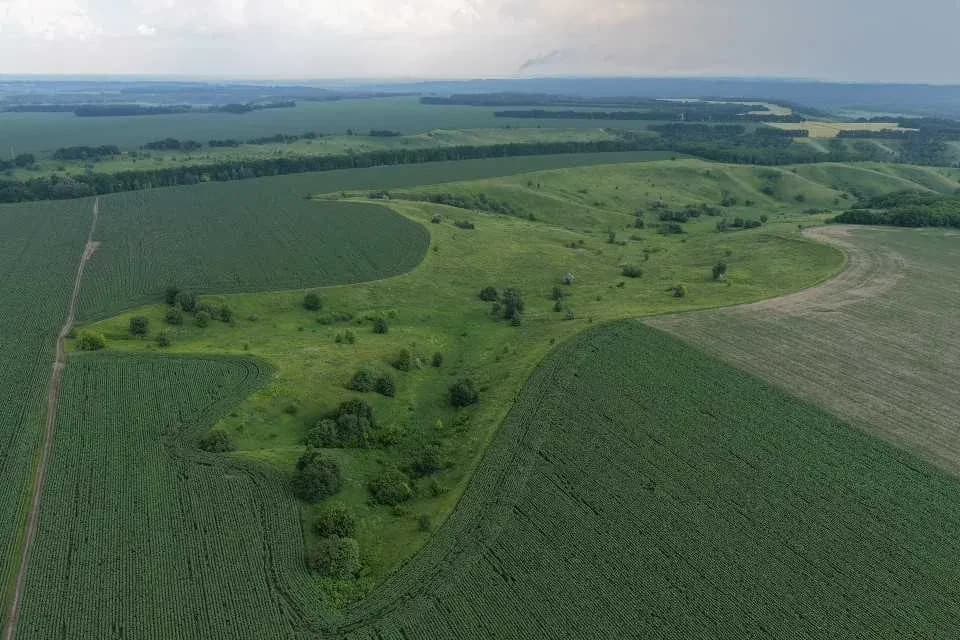 Ділянка 100 соток, Велика Бугаївка: ОСГ, парк Київська Русь поруч - фото 1