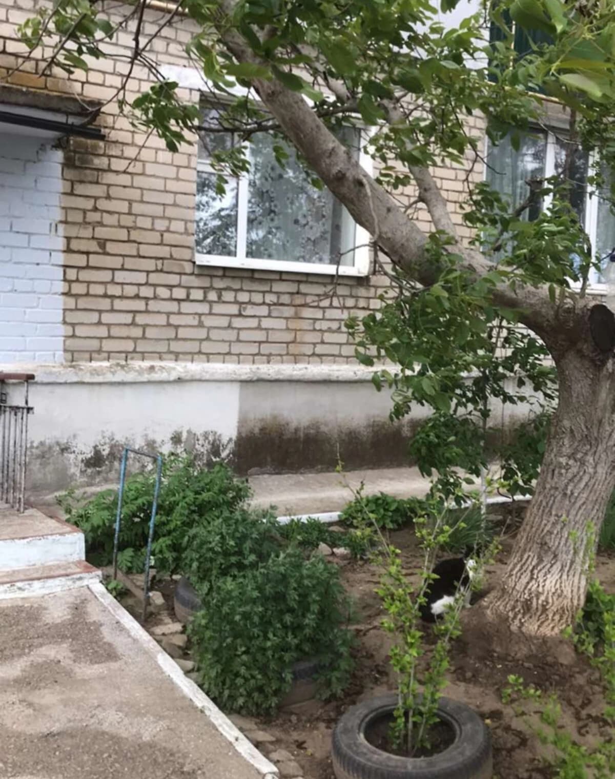 3-кімнатна квартира, Велика Корениха: цегляні стіни, торг можливий - фото 2