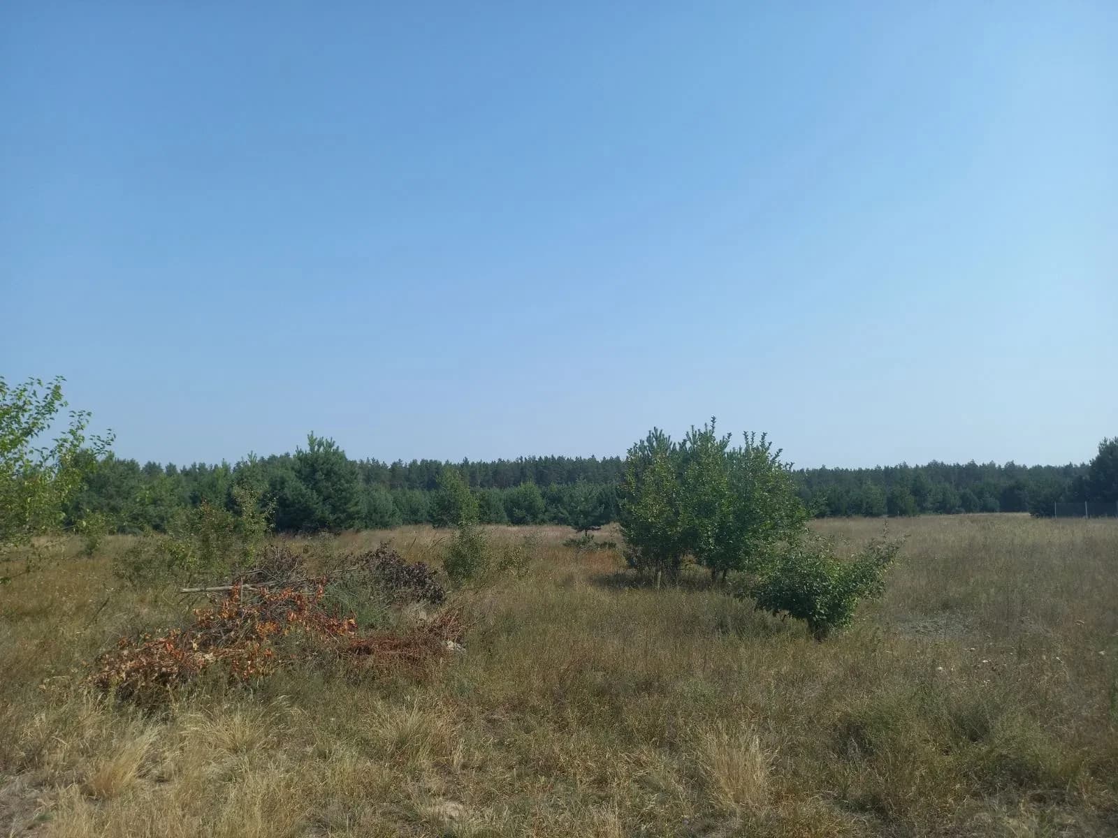 Ділянка 20 соток, Абрамівка: поруч ліс, електрика