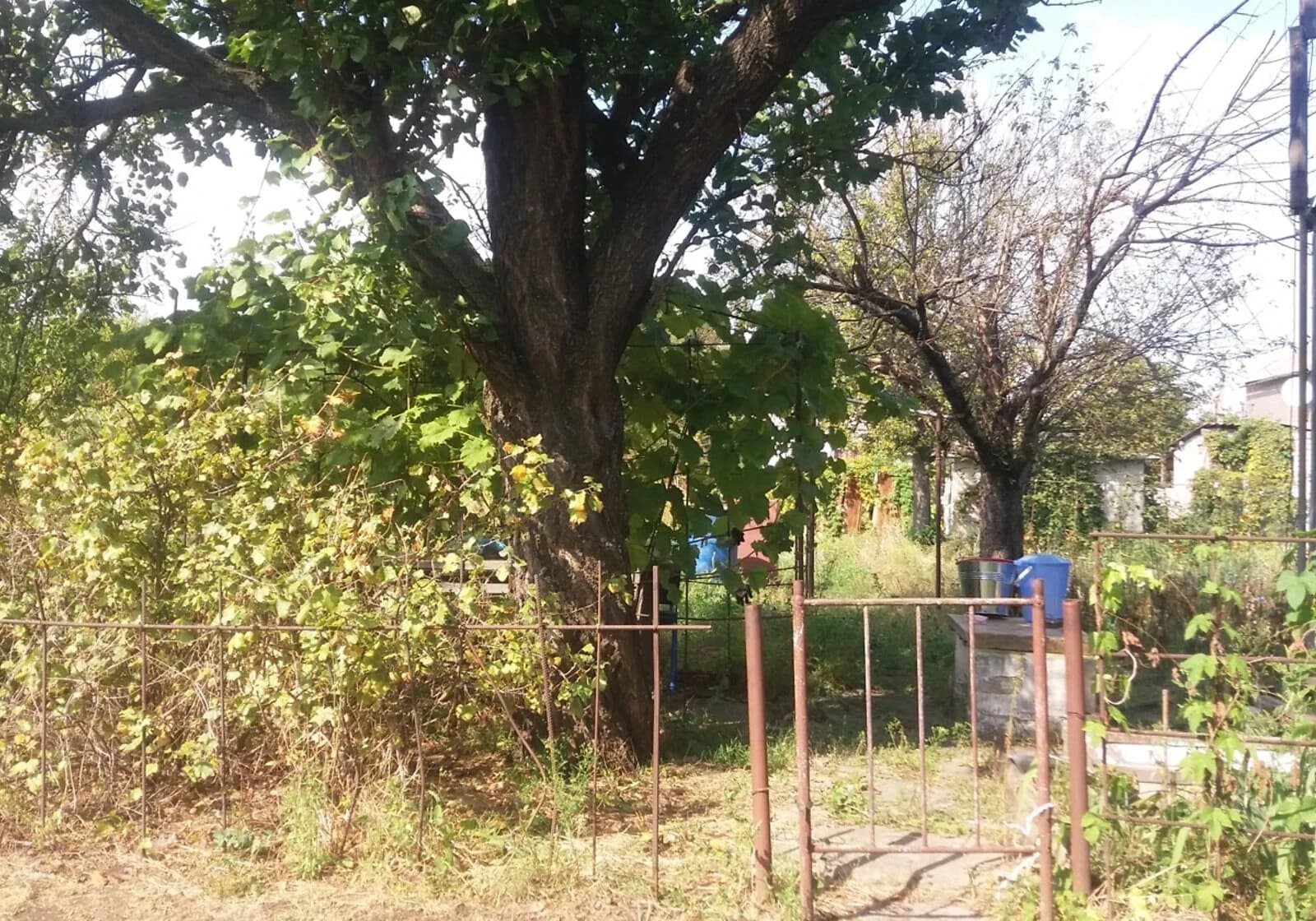Ділянка 6 соток, Куліші: свердловина, город і сад, відеоспостереження